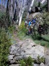 to Dead Horse Gap of XC loop 